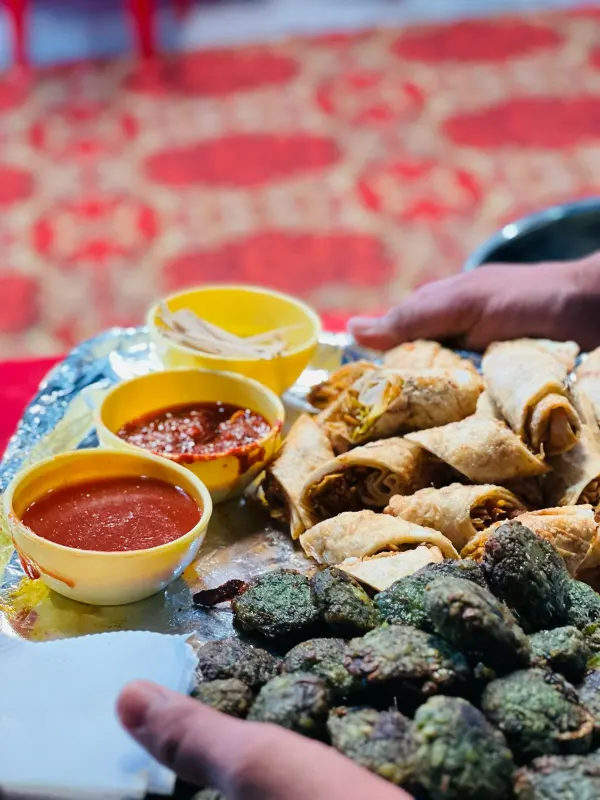 Spring Rolls and Dips